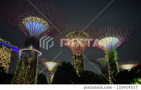 新加坡超級樹林亮燈 110454557