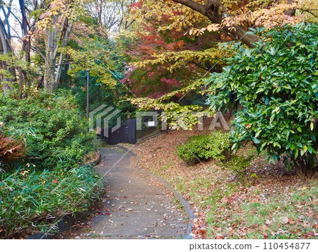 Toyama Park 110454877