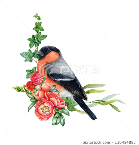 Garden flowers decor with bullfinch bird. Watercolor illustration. Hand painted backyard bird with garden flowers decoration element. Floral decor with bullfinch. Isolated on white background 110454883