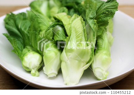 Tsubomi greens(高菜與孩子) Tsubomi greens(高菜與孩子) 110455212