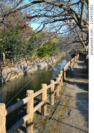 Waterside promenade, winter scenery, along Arakawa Sports Park Street, Saitama City 110455461