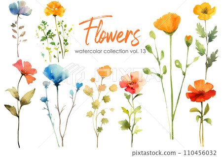 Watercolor painting of flowers and leaf. Hand drawn floral vector elements isolated on white background. 110456032