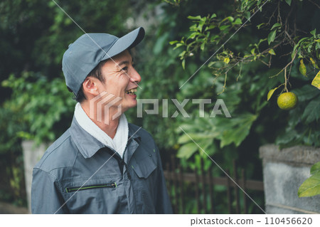 農業 農業 110456620