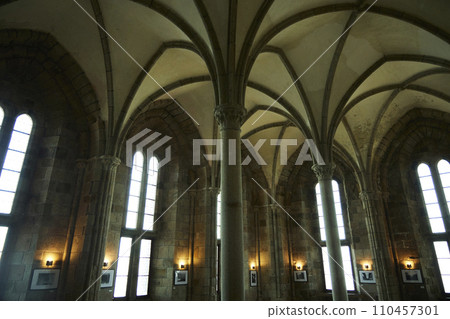 美麗的大教堂 110457301