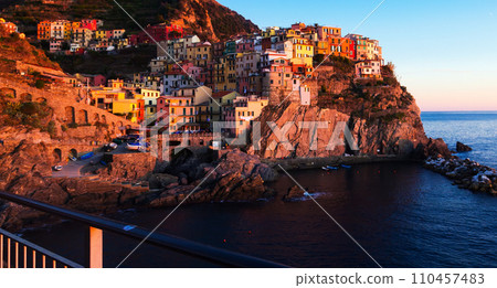 Colorful Manarola, Italy 110457483