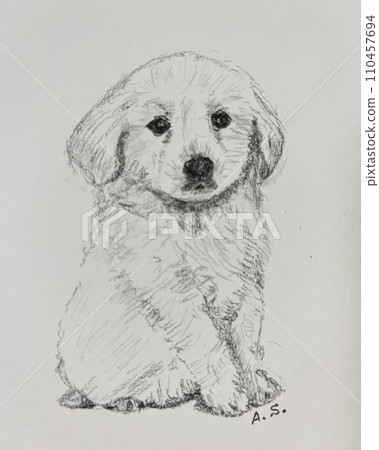 拉布拉多獵犬小狗 拉布拉多獵犬小狗 110457694