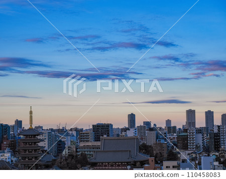 (東京)年末淺草寺仲見世商店街人頭攢動 (東京)年末淺草寺仲見世商店街人頭攢動 110458083
