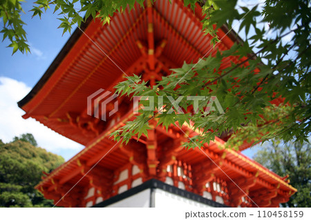藍天映襯下的多寶塔與藍色楓樹 藍天映襯下的多寶塔與藍色楓樹 110458159