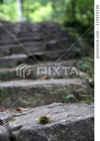 Igaguri on the approach 110458186