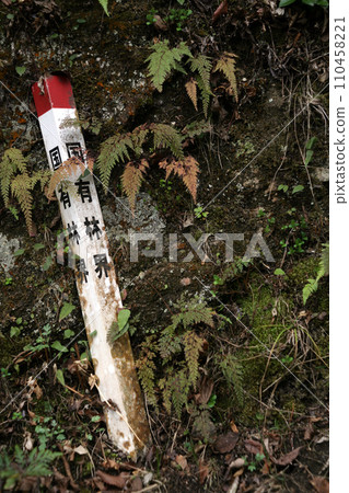 National forest boundary marker stake in the mountain National forest boundary marker stake in the mountain 110458221