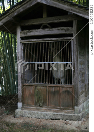 神社的神道穩定 神社的神道穩定 110458222