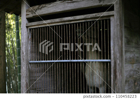 Shinto stable of the shrine 110458223