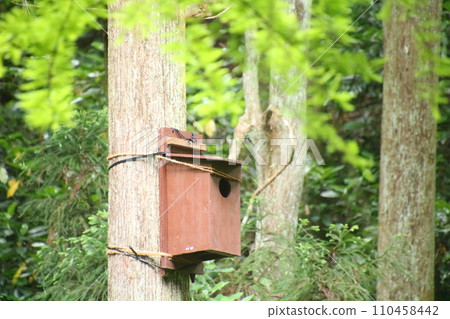 Birdhouse attached to a tree 110458442