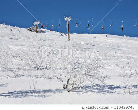 新雪谷東急格蘭德羅夫頂級特大號纜車 4 新雪谷東急格蘭德羅夫頂級特大號纜車 4 110459743
