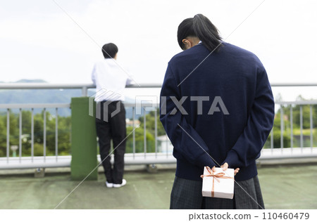 High school girl expressing her feelings 110460479