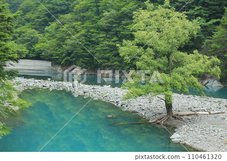 Sumata River in its fresh green season (Haibara District, Shizuoka Prefecture, Japan) 110461320