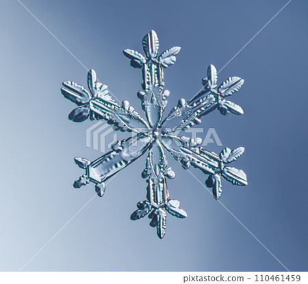Natural snowflake crystal close-up macro photo 110461459