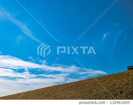 藍天、岸邊的草等待春天 110461605