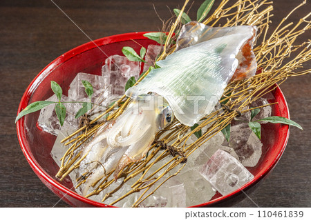 魷魚刺身 魷魚刺身 魷魚刺身 魷魚刺身 110461839