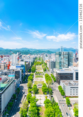 [北海道]從札幌電視塔看到的札幌市景 110462316