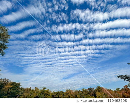 Altocumulus undulatus cloud over tropical forest in northern Thailand. 110462508