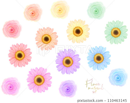 花卉材質套裝（非洲菊和毛茛屬） 110463145