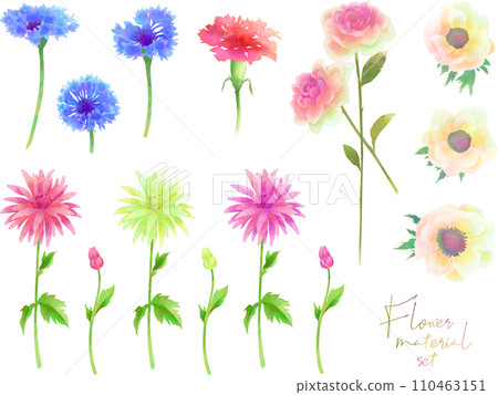Flower material set (watercolor) 110463151