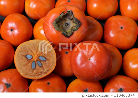 很多柿子果實 很多柿子果實 110463374