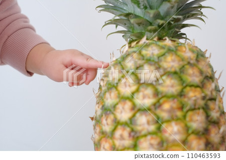 Child's hand touching pineapple Child's hand touching pineapple 110463593