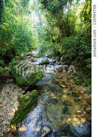 Landscape of Sierra Nevada mountains, Colombia wilderness landscape. 110464706