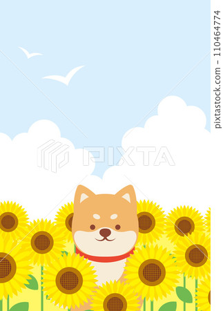Background illustration of a Shiba Inu sitting in a sunflower field Background illustration of a Shiba Inu sitting in a sunflower field 110464774