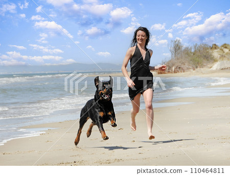 rottweiler and woman 110464811
