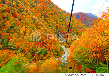 Naeba Dragondora Naeba Plateau - Tashiro Plateau Naeba Dragondora Naeba Plateau - Tashiro Plateau 110464872