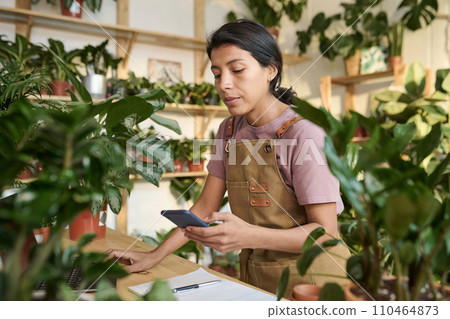 Hispanic plant shop employee scrolling through information on laptop and smartphone Hispanic plant shop employee scrolling through information on laptop and smartphone 110464873