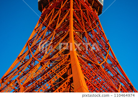 Stroll around Tokyo Tower and Shiba Park Stroll around Tokyo Tower and Shiba Park 110464974