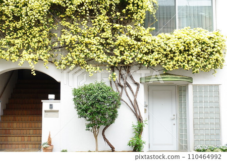 yellow flowered facade yellow flowered facade 110464992