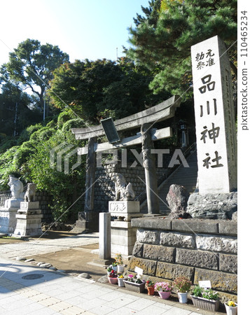 Shinagawa Shrine in Shinagawa Ward (company name sign: Ssanryu Torii) Shinagawa Shrine in Shinagawa Ward (company name sign: Ssanryu Torii) 110465234