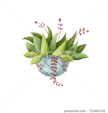 Houseplant plant growing in pots. Beautiful home decorations, plants isolated on white background. Cartoon flat illustration. 110465542