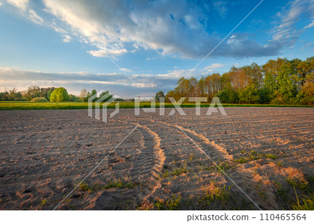 Evening view of a plowed field with traces of agricultural tractor wheels, spring day 110465564