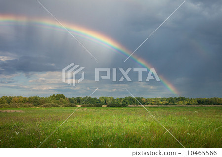 A beautiful rainbow in the sky over a green meadow and forest, Czulczyce, eastern Poland 110465566