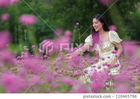 beautiful woman in dress enjoying blooming pink globe amaranth or bachelor button field beautiful woman in dress enjoying blooming pink globe amaranth or bachelor button field 110465798
