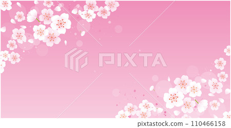 春天櫻花花瓣背景 110466158