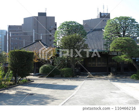 品川區長德寺(本堂/圓瑪堂) 品川區長德寺(本堂/圓瑪堂) 110466216