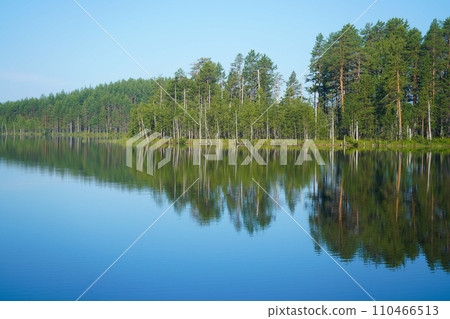 Beautiful forest lake. Panoramic view, landscape. forest reflecting on calm lake. Beautiful forest lake. Panoramic view, landscape. forest reflecting on calm lake. 110466513
