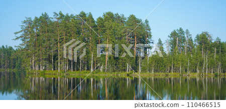 Beautiful forest lake. Panoramic view, landscape. forest reflecting on calm lake. Beautiful forest lake. Panoramic view, landscape. forest reflecting on calm lake. 110466515