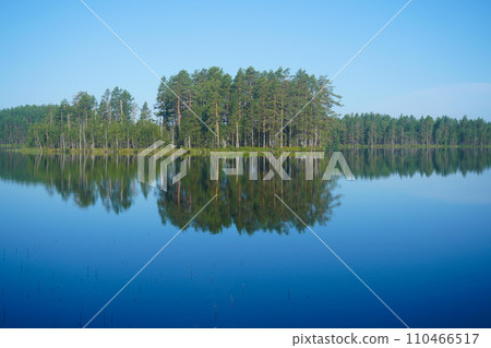 Beautiful forest lake. Panoramic view, landscape. forest reflecting on calm lake. Beautiful forest lake. Panoramic view, landscape. forest reflecting on calm lake. 110466517