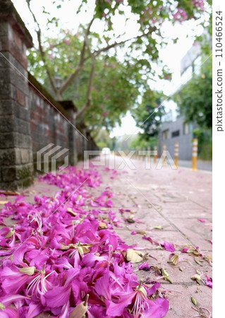 短牆紫紅色花地毯 110466524