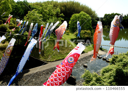 Fukuoka Prefecture "Takada Noseyama Park" Scenery of carp streamers swimming in fresh greenery 110466555