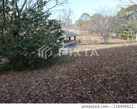 一月的西神中央公園 神戶市西區公園 一月的西神中央公園 神戶市西區公園 110466621