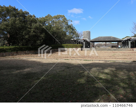 一月的西神中央公園 神戶市西區公園 一月的西神中央公園 神戶市西區公園 110466746